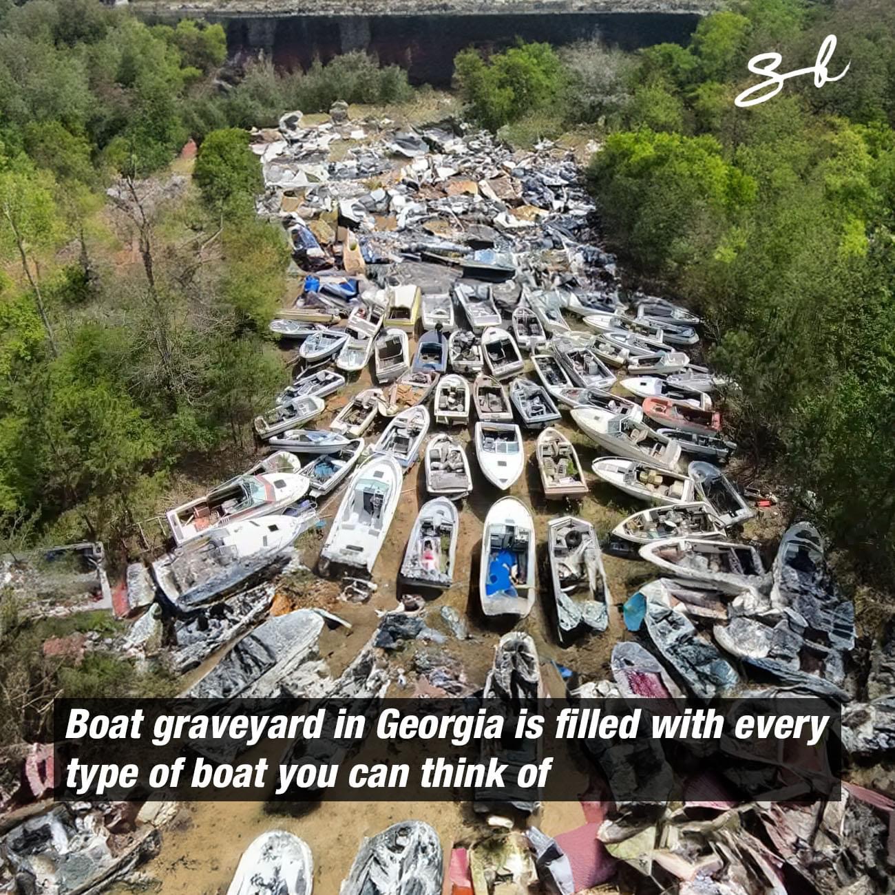 It’s wild to think all of these vessels have ended up on dry land…