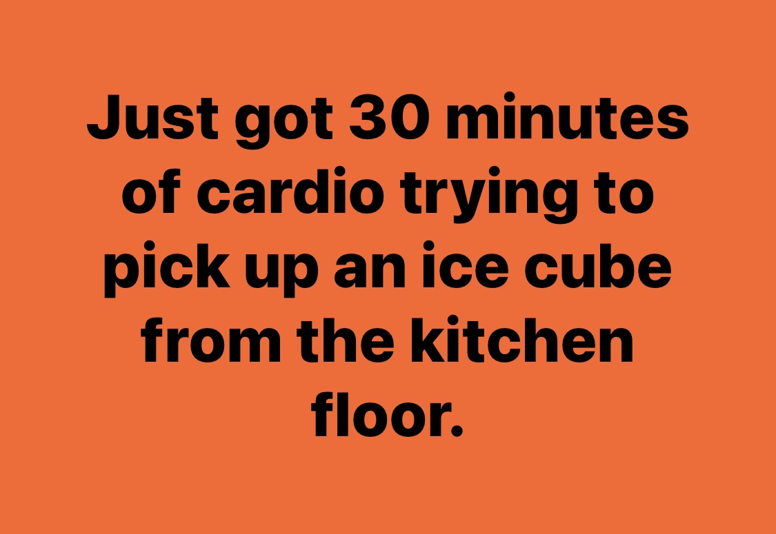 Just got 30 minutes of cardio trying to pick up an ice cube from the kitchen floor.