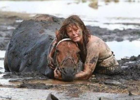 For 3 hours woman stays with trapped horse – then a farmer does everything he can to save its life