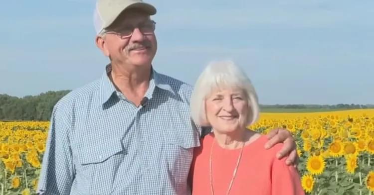 Man Secretly Plants 1.2 Million Sunflowers To Celebrate 50 Years Of Marriage.(video)